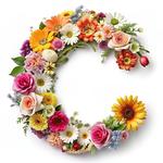Gebruikersfoto