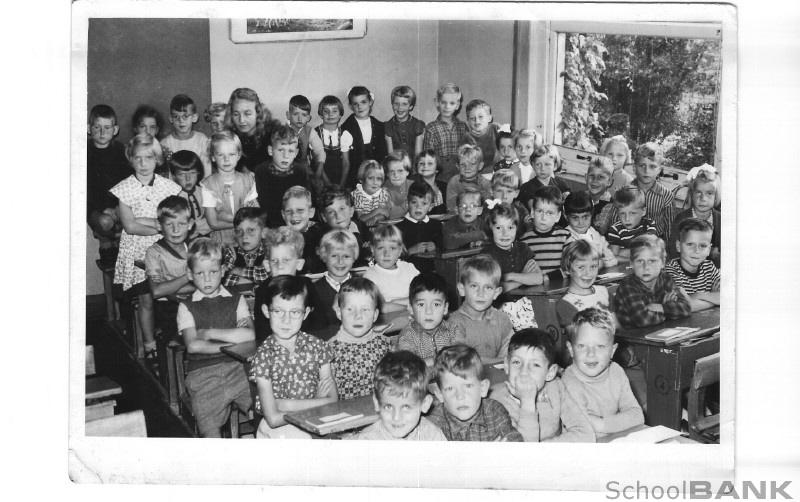 De Roos foto