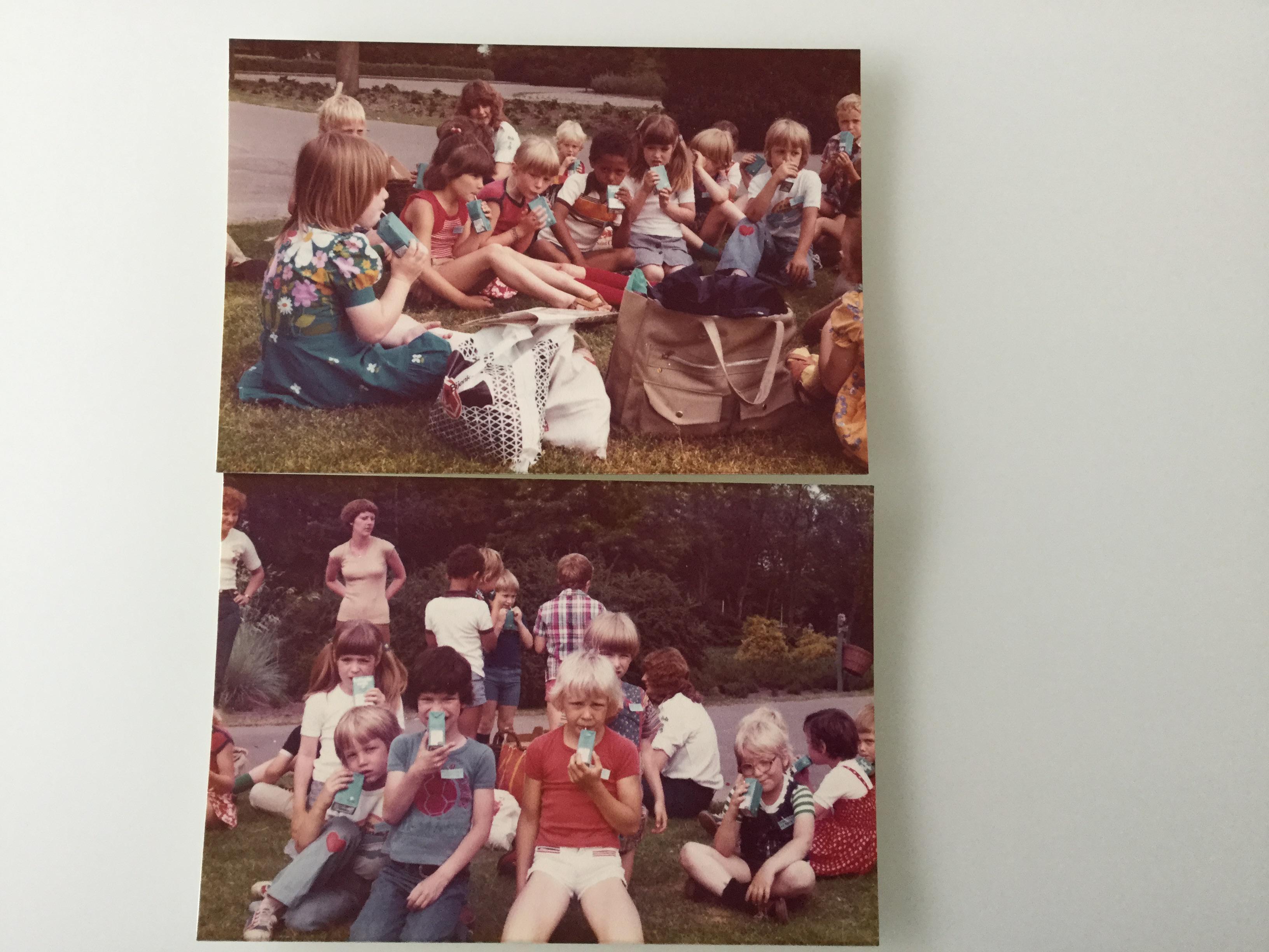 Het kleine Zeepaardje (Kleuterschool) foto