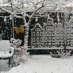 Gebruikersfoto