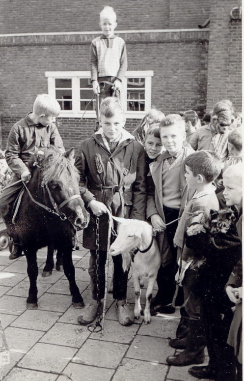 School met de Bijbel foto