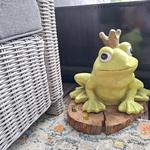 Gebruikersfoto
