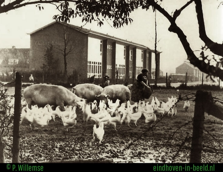 Christelijke Lagere School foto