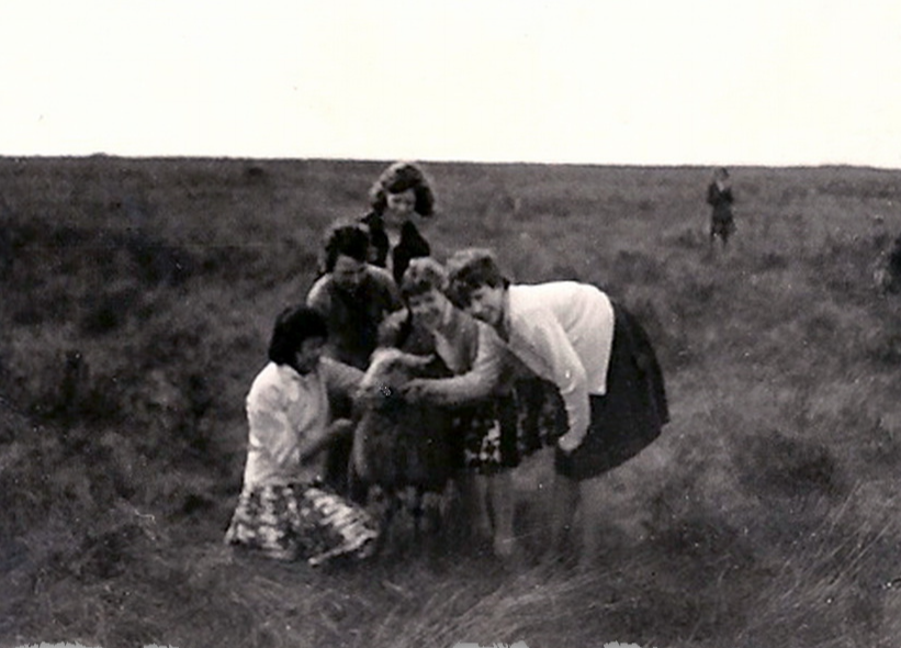 PRINSES MARIJKE SCHOOL foto